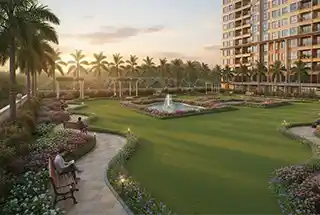 Party Lawn